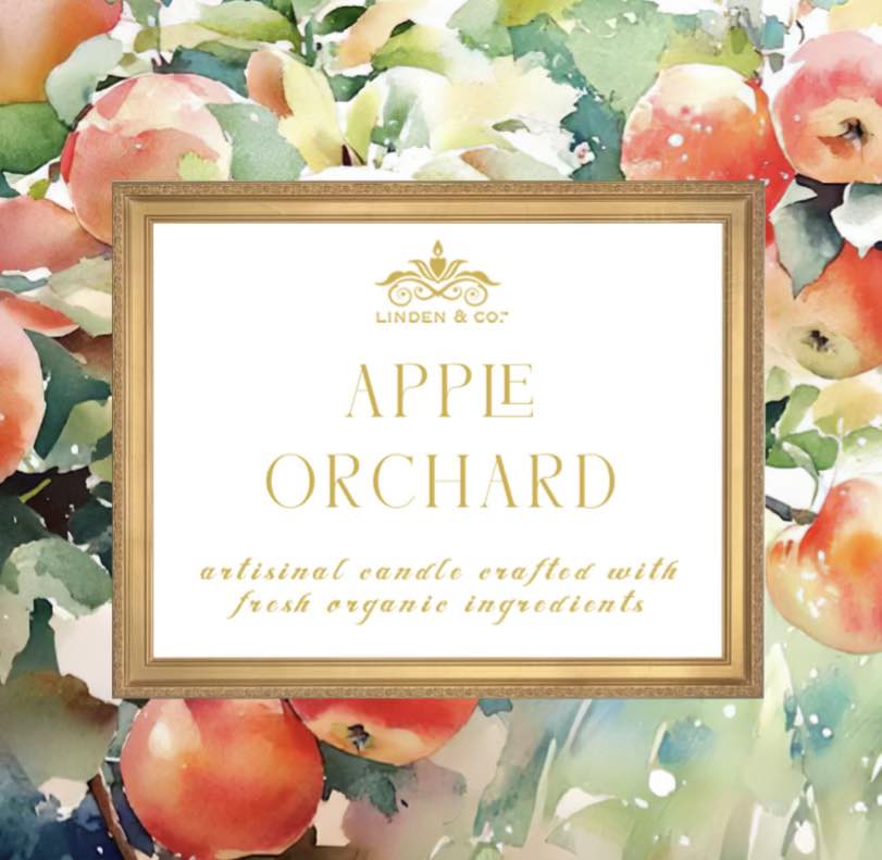 Apple Orchard (Single)