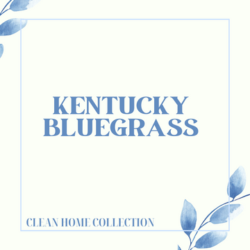 Kentucky Bluegrass (Six Pack)