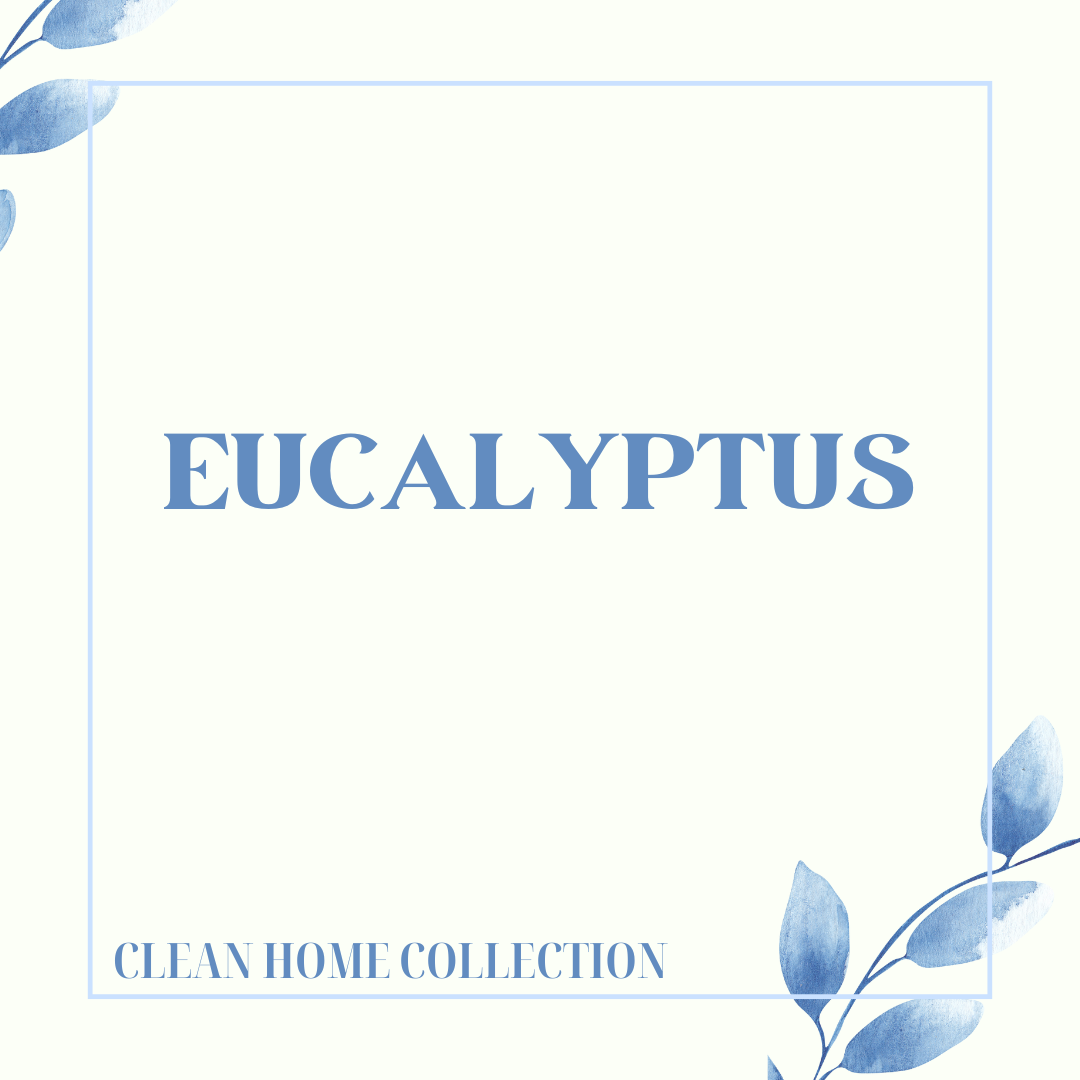 Eucalyptus (Single)