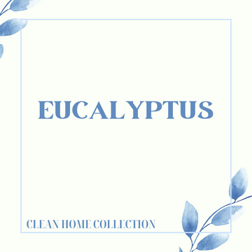 Eucalyptus (Single)