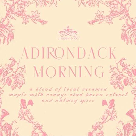 🍁 Adirondack Morning