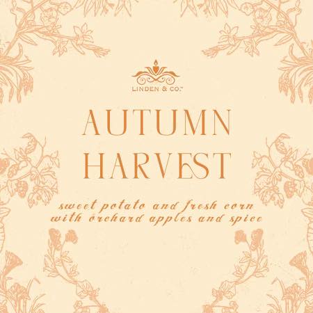 🍁 Autumn Harvest