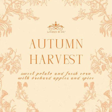 🍁 Autumn Harvest