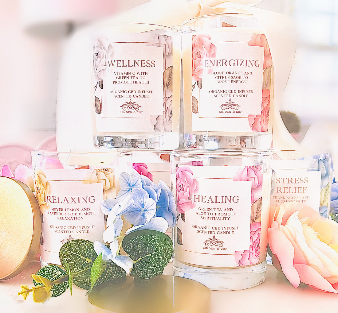 Herbal Candle Collection (Pack of 6)